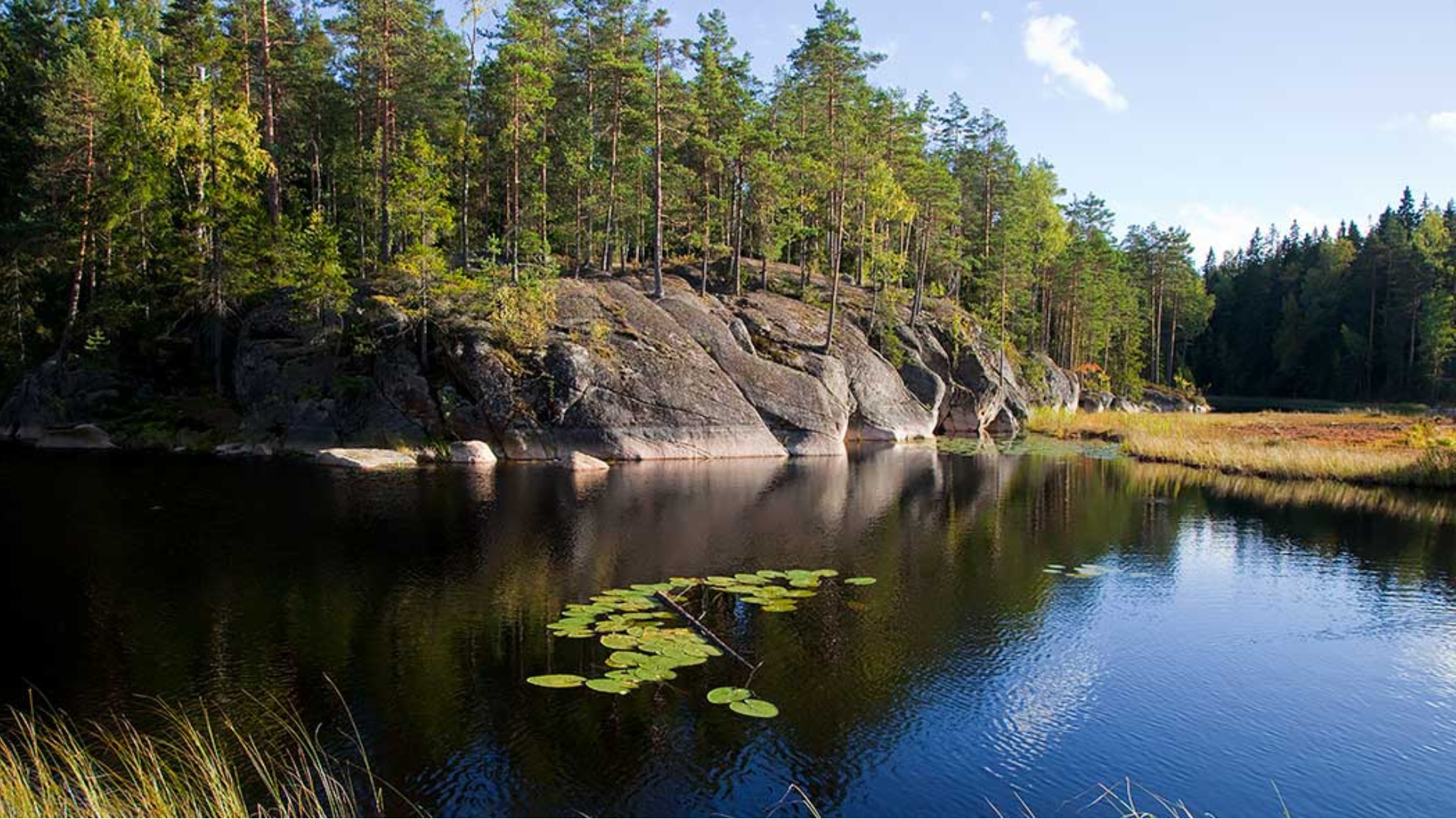 Nuuksio National Park