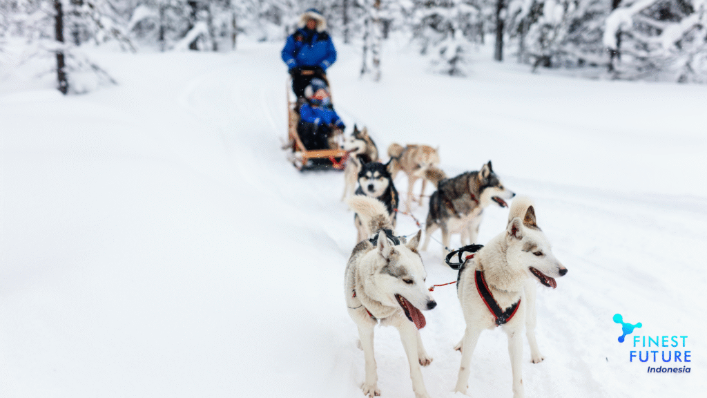Finland surga pencinta alam