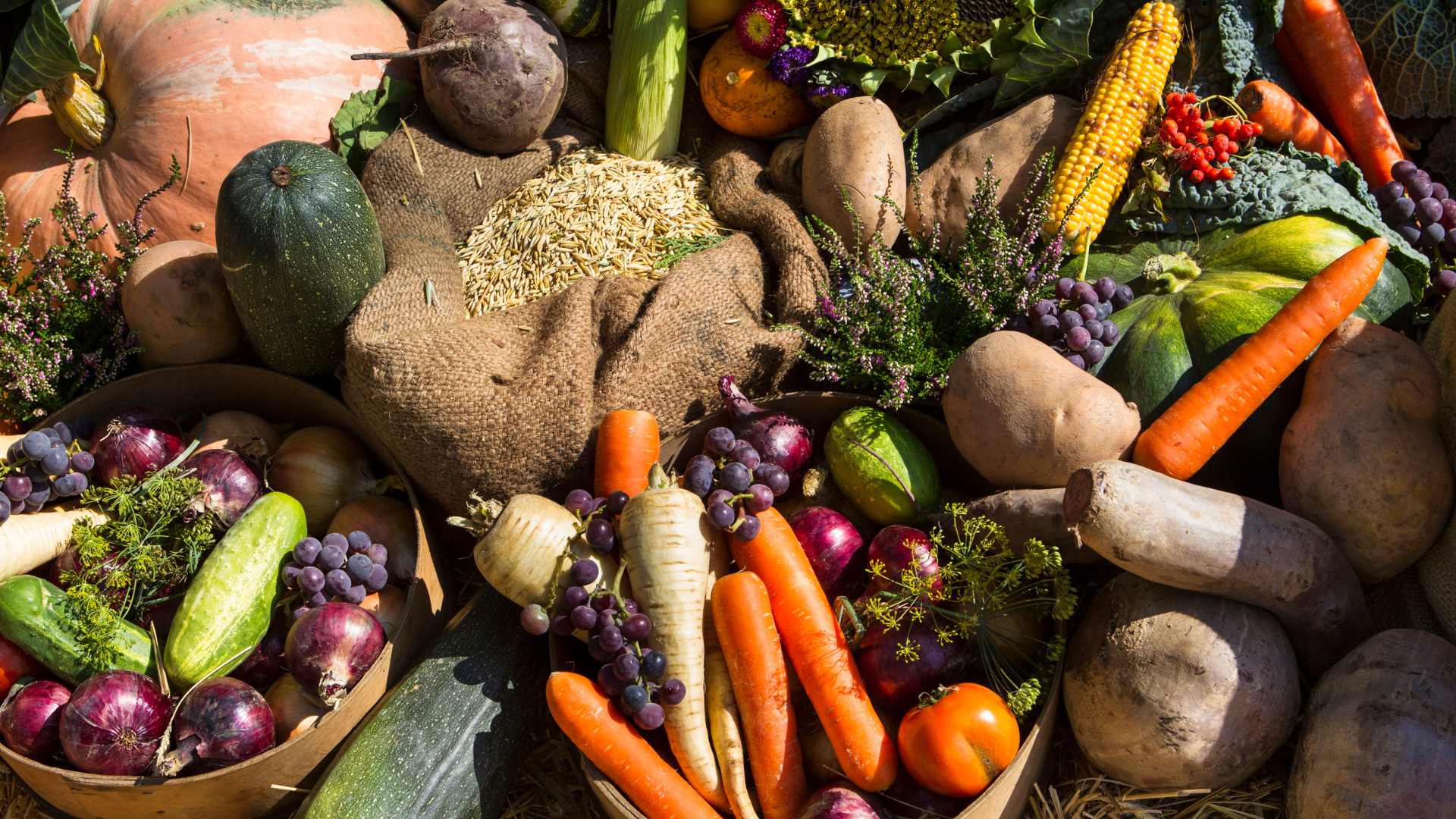 Sayur di Finlandia