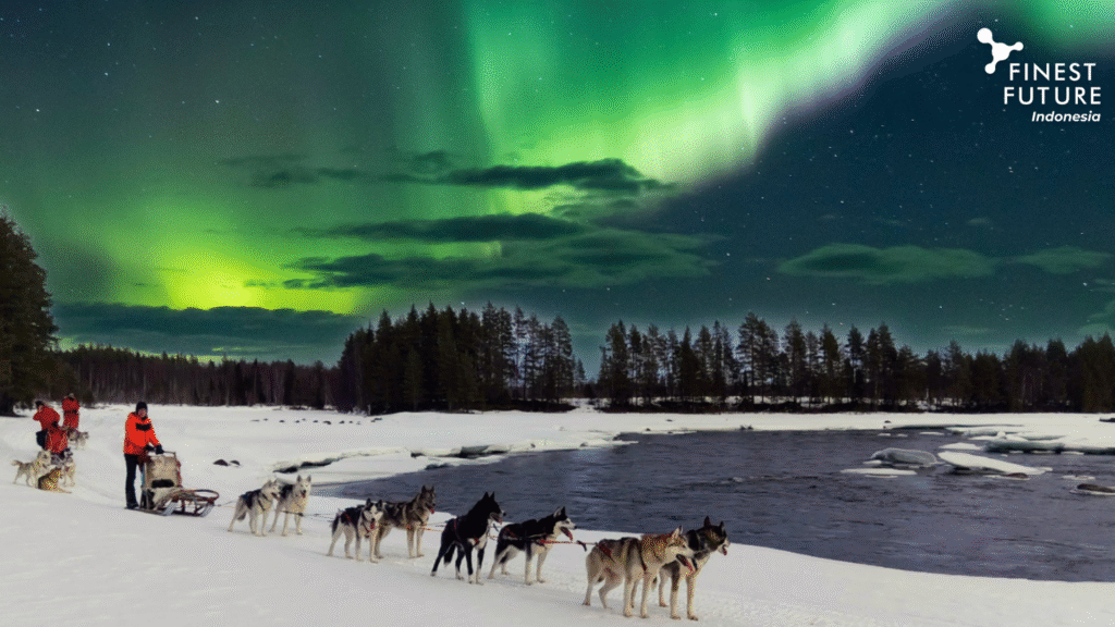Husky Sledding di Finlandia