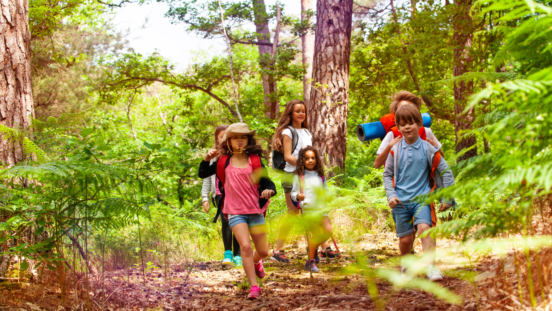 FINEST FUTURE INDONESIA - Forest School di Finlandia